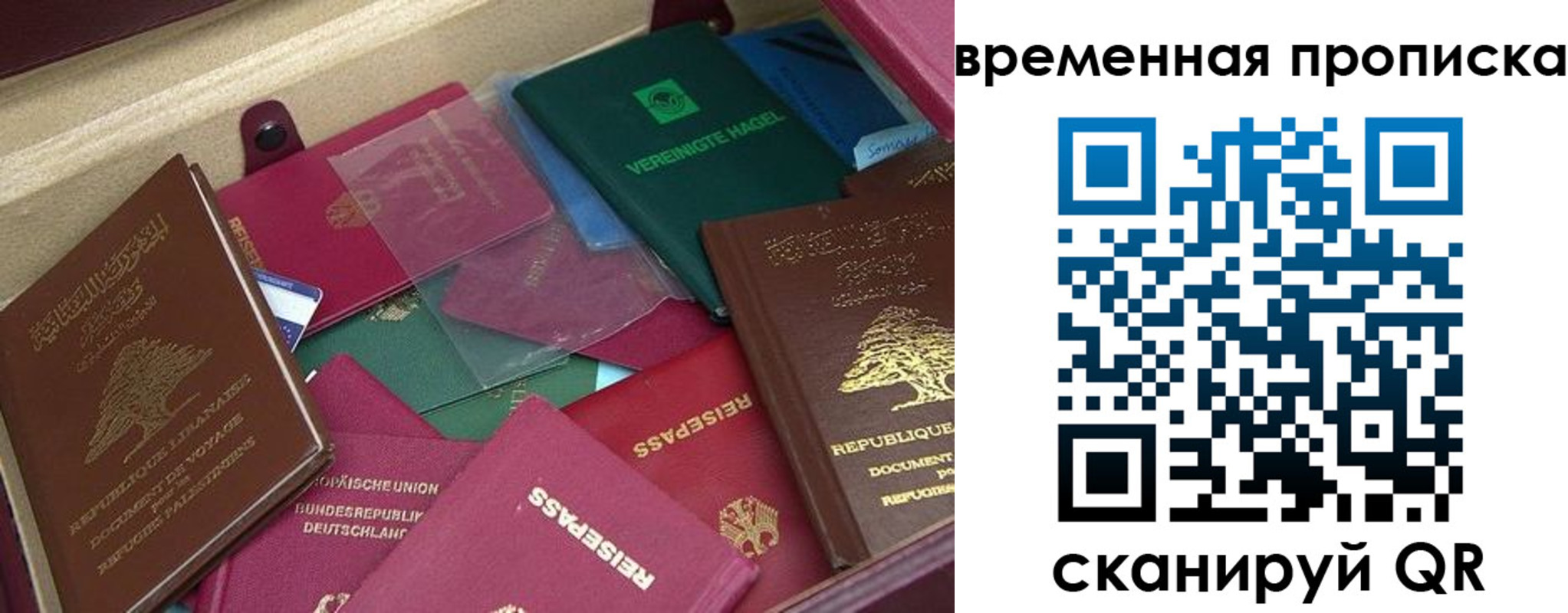 прописка в Сосенском